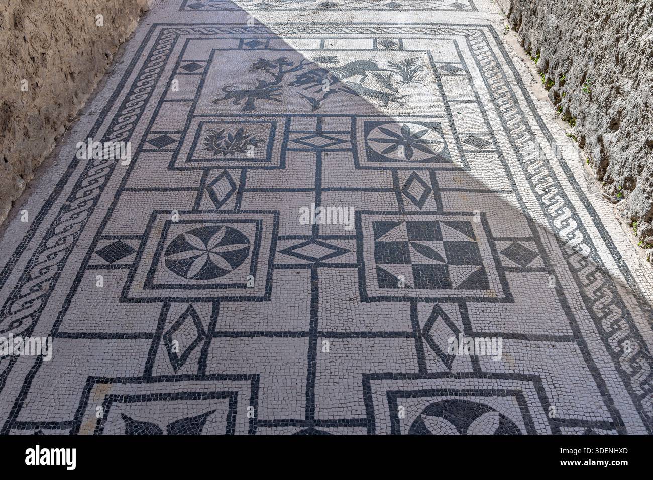 Guardando verso il basso lo squisito pavimento in mosaico bianco e nero della Casa del cinghiale presso il sito archeologico di Pompei, in Italia. Foto Stock