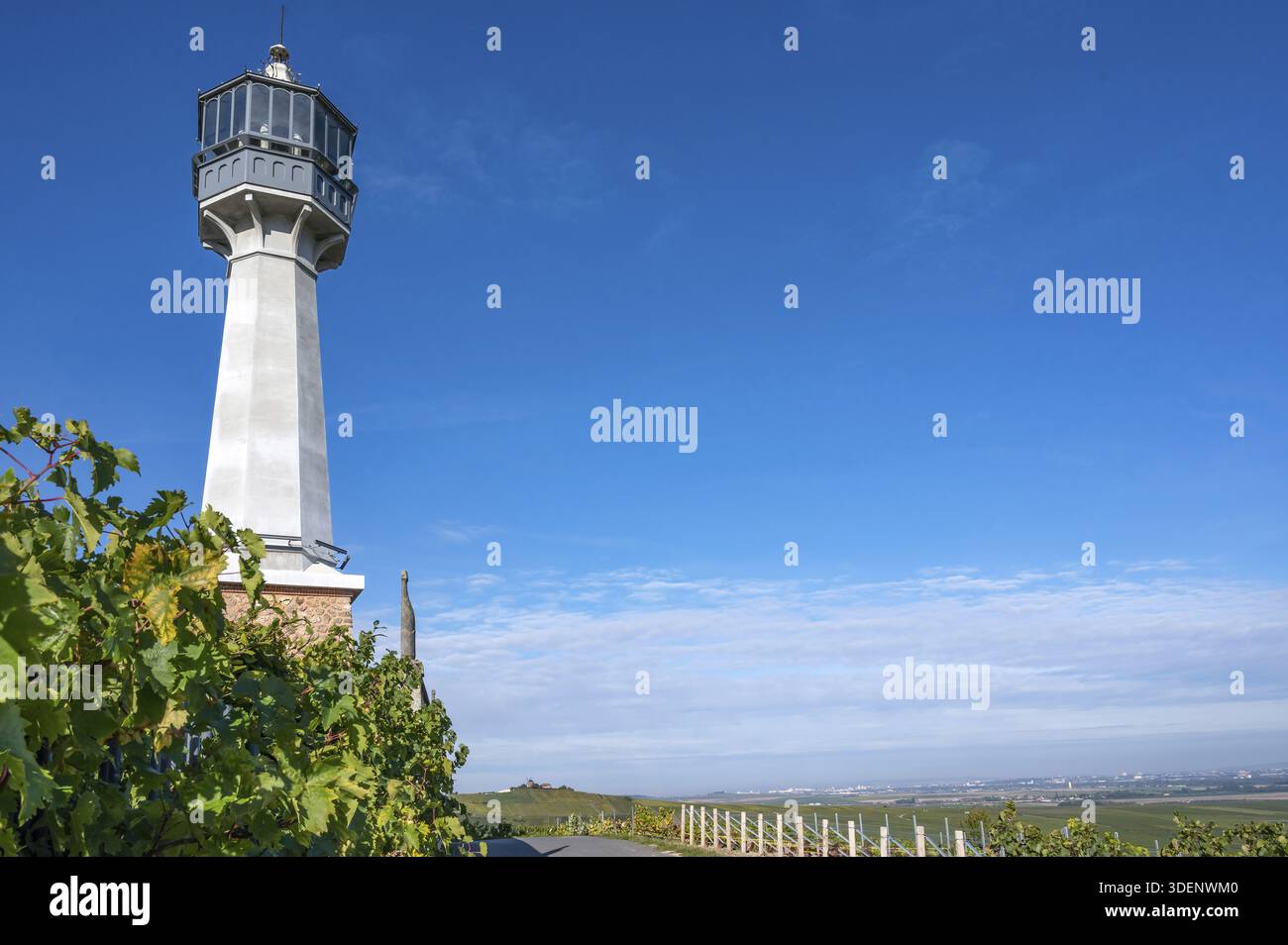 Primo piano del bianco Phare de Verzenay con la sua caratteristica lanterna panoramica, incorniciata da lussureggianti foglie di vite in primo piano e una vista mozzafiato del Foto Stock
