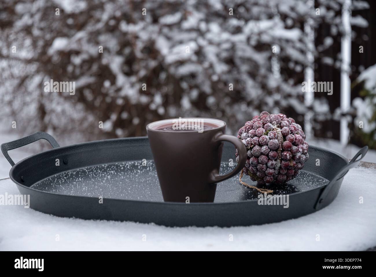 Tazza di bevanda calda su un vassoio di metallo posto sulla neve all'aperto. Accogliente momento invernale, comfort per le basse temperature, stile di vita all'aperto minimalista. Foto Stock
