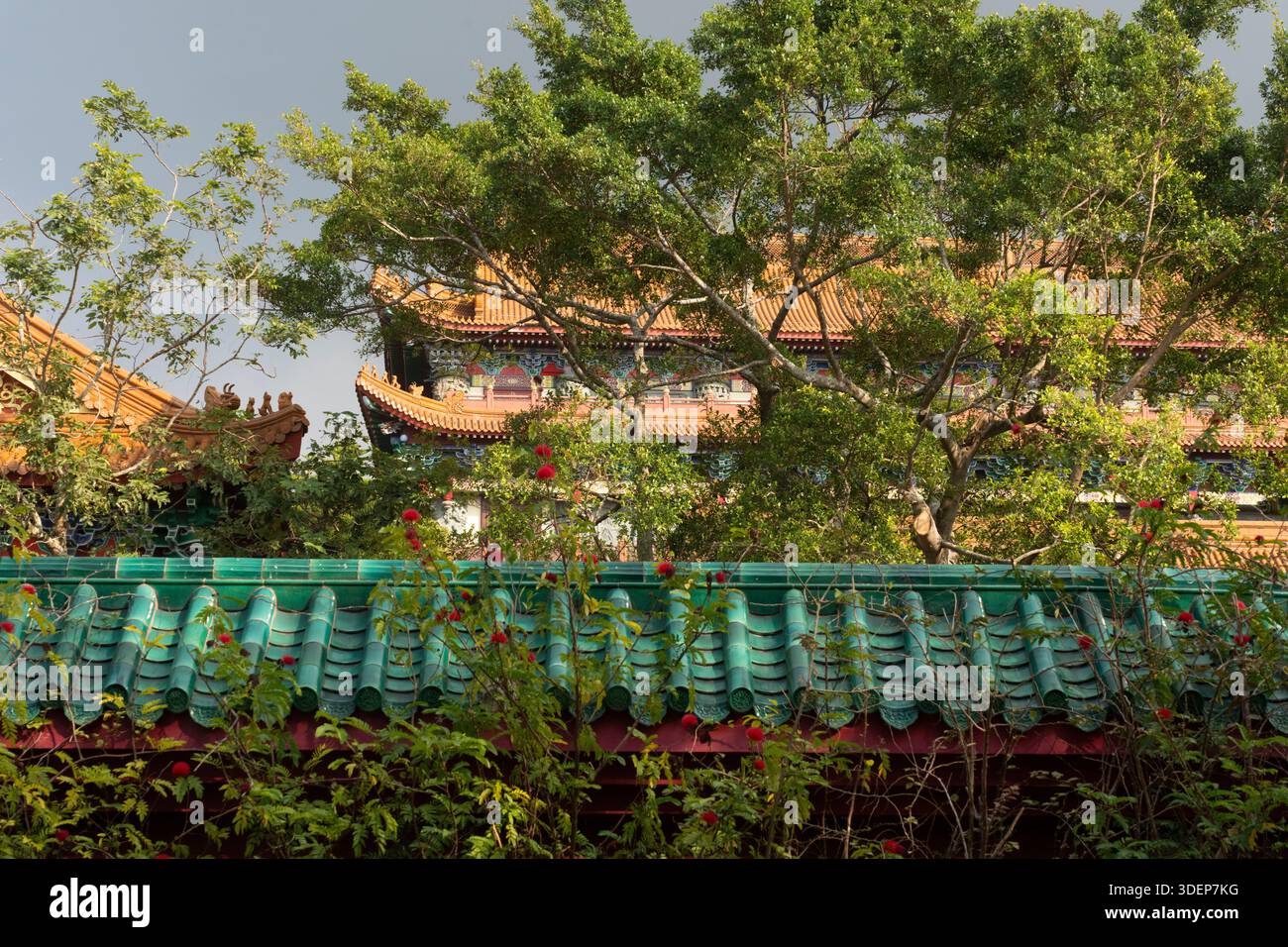 Un lussureggiante giardino con fiori rossi incornicia il tetto ornato del monastero po lin Foto Stock