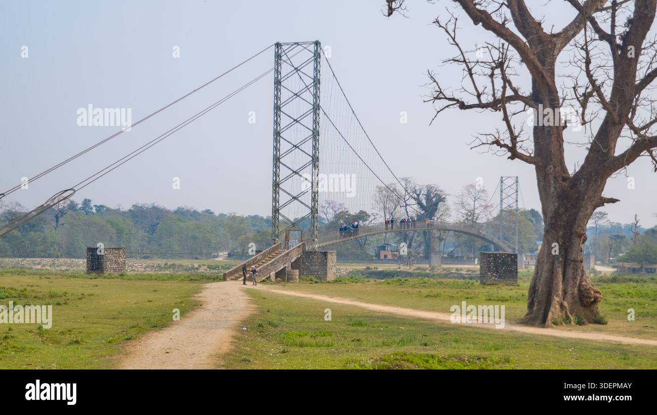 Un semplice ponte sospeso si estende su una pianura pianeggiante e erbosa punteggiata di alberi sparsi, creando un paesaggio sereno e aperto. Foto Stock