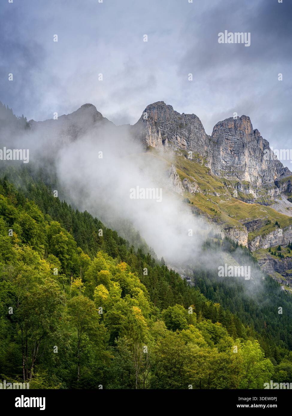 Svizzera, Engelberg, foresta di montagna con nebbia a Hahnen Foto Stock