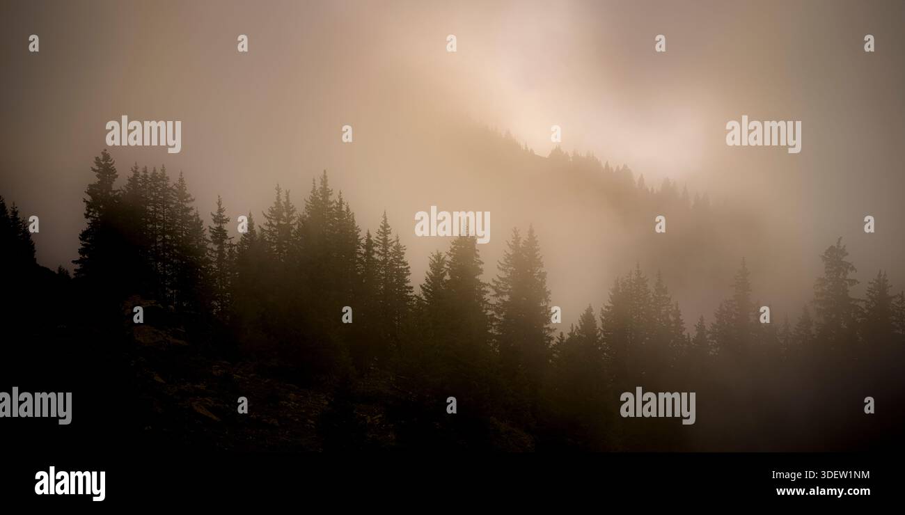 Svizzera, Engelberg, paesaggio nebbioso Foto Stock