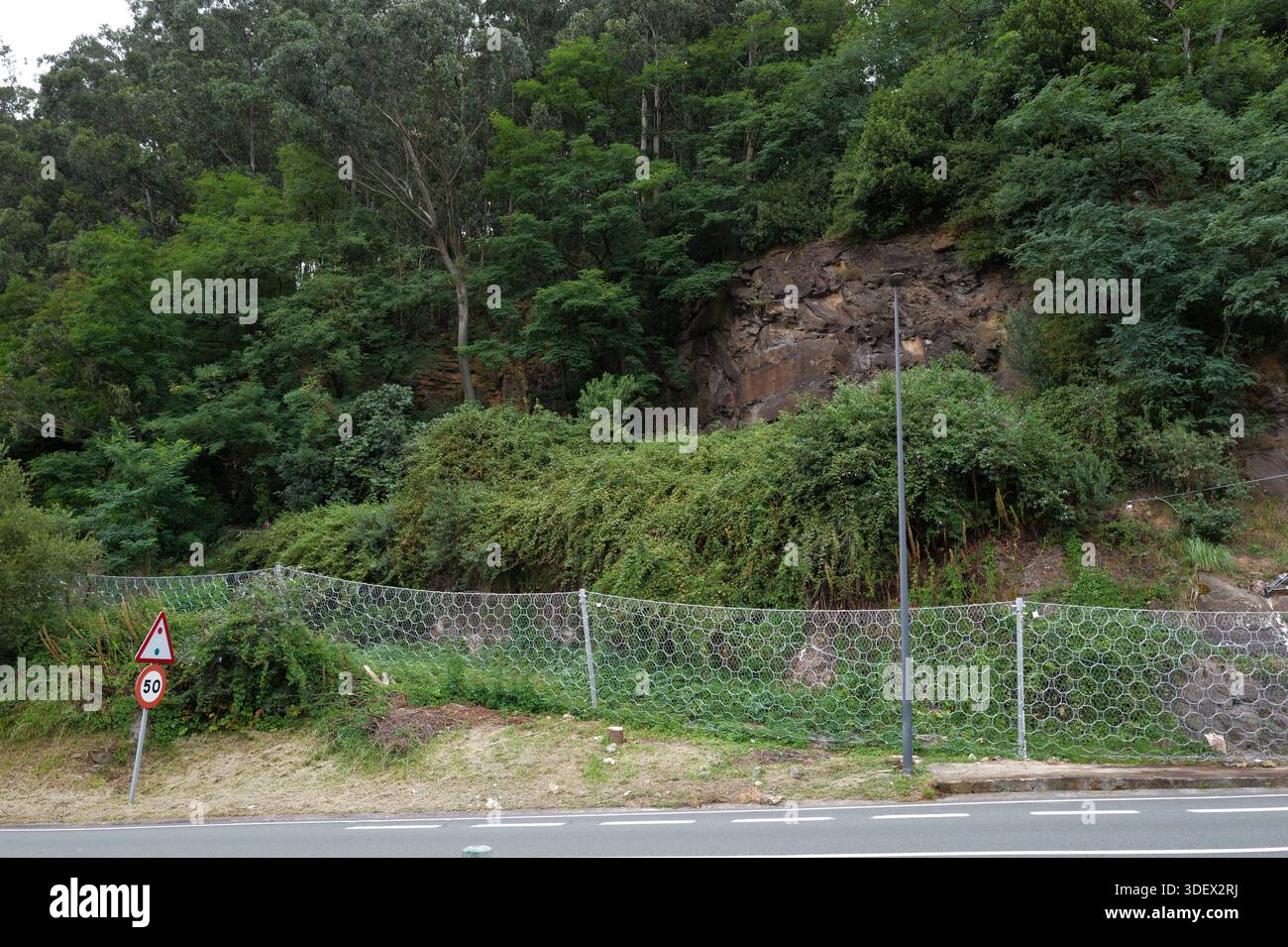 Rete di sicurezza vicino alla strada Foto Stock