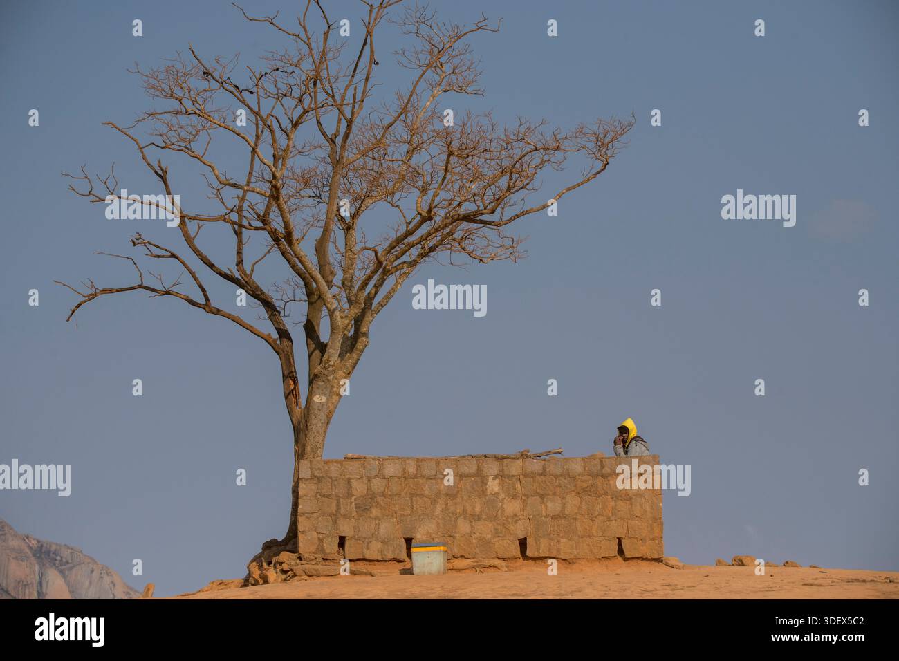 Struttura alberata e in pietra solitaria su un terreno aperto, il mercato di Ambalavao Zebu. Ambalavao, Madagascar. Foto Stock