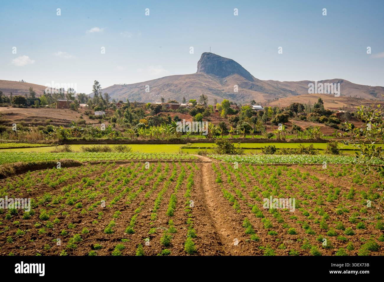 Paesaggio rurale di campi coltivati e paesaggio sulla strada da Ambalavao a Nomoly, altopiani centrali, Madagascar Foto Stock