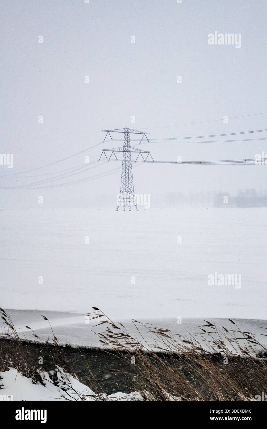 Tempesta di neve in un campo. Foto Stock