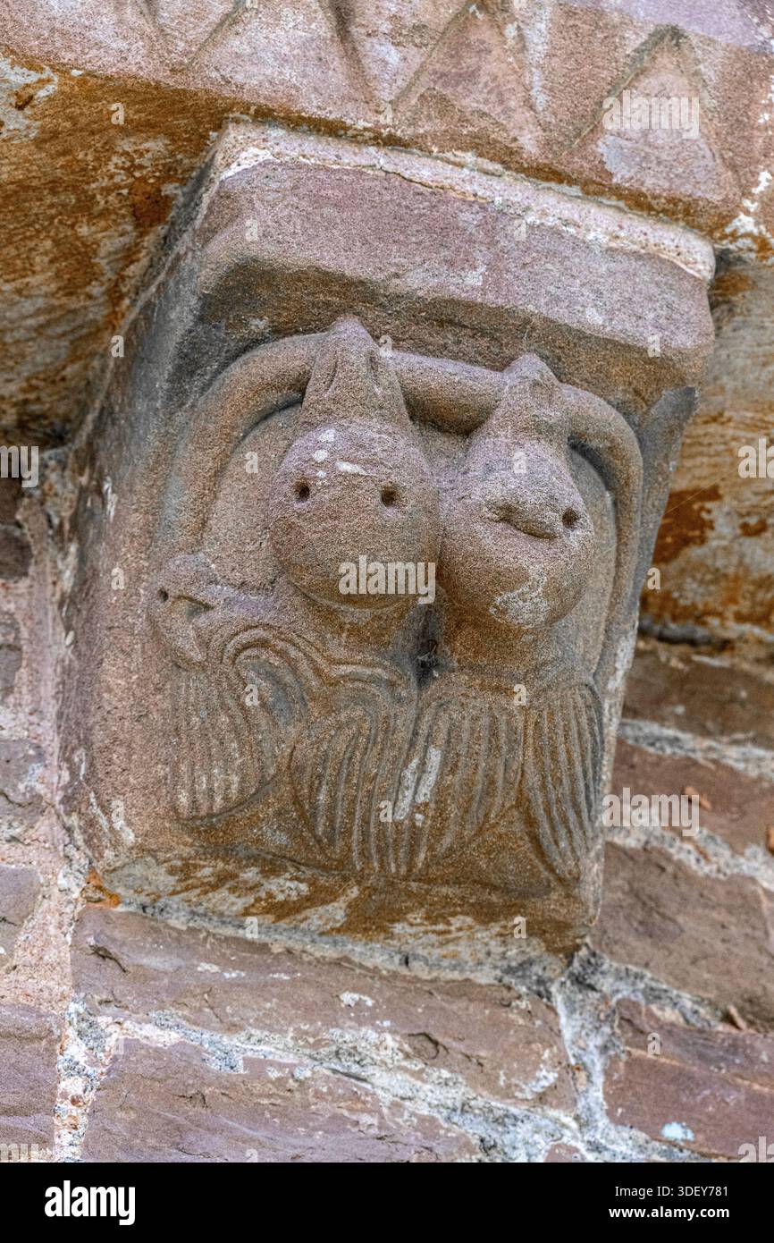 Uno degli straordinari mensole scolpiti sulla chiesa romanica normanna di St Mary and St David (costruita nel 1140 d.C.) a Kilpeck, Herefordshire, Inghilterra Foto Stock