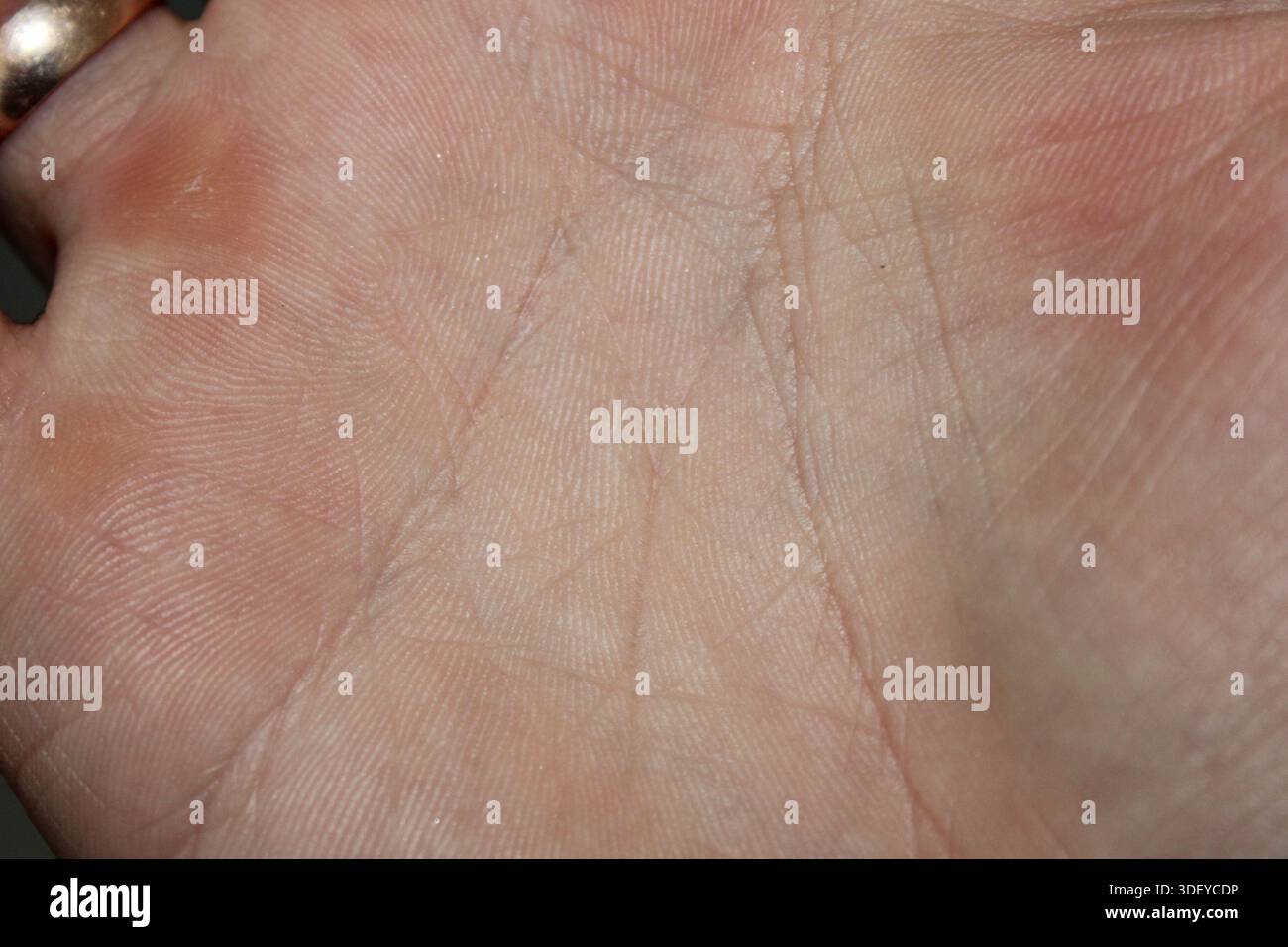 Questa scena presenta un dettagliato primo piano di un palmo umano. Le linee e la consistenza della pelle sono visibili, illustrando i motivi unici presenti sul Foto Stock