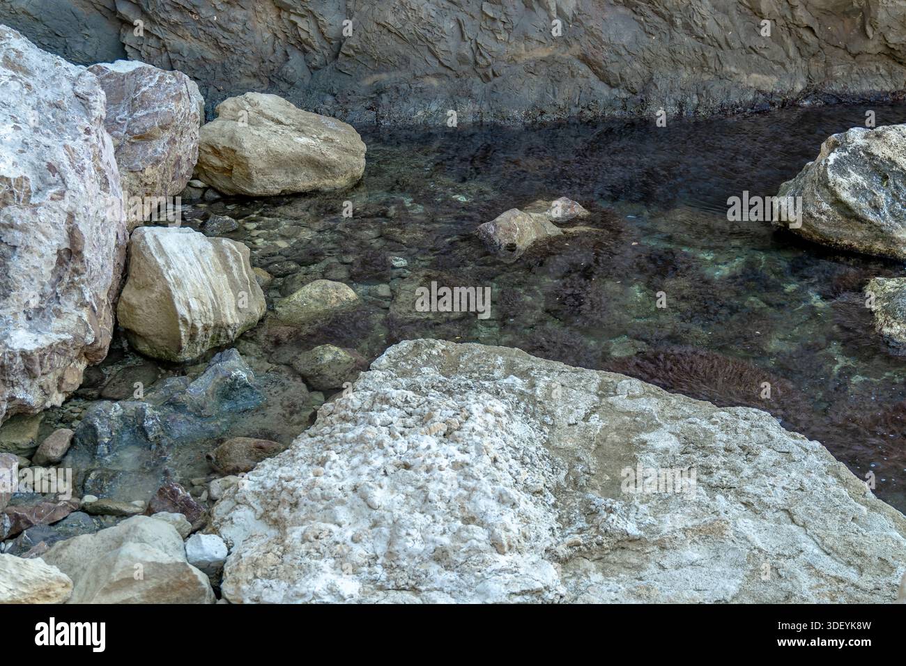 Rocce, acqua e alghe riempiono un'aspra area naturale con maree e acque cristalline e piante marine Foto Stock