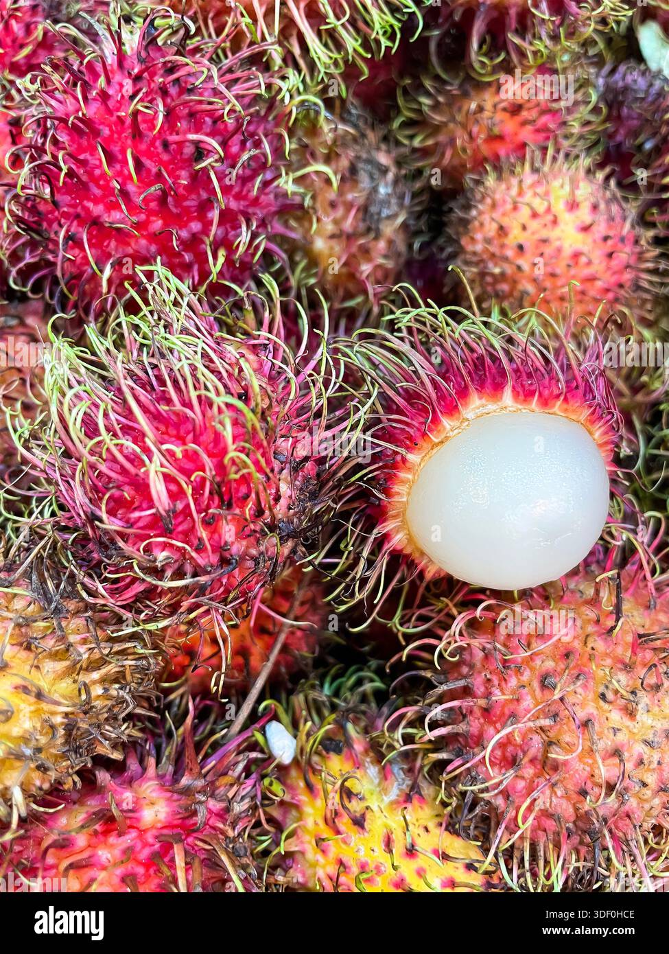 Primo piano di un gruppo di rambutani maturi con un frutto sbucciato aperto per rivelare la succosa carne bianca all'interno della malesia Foto Stock
