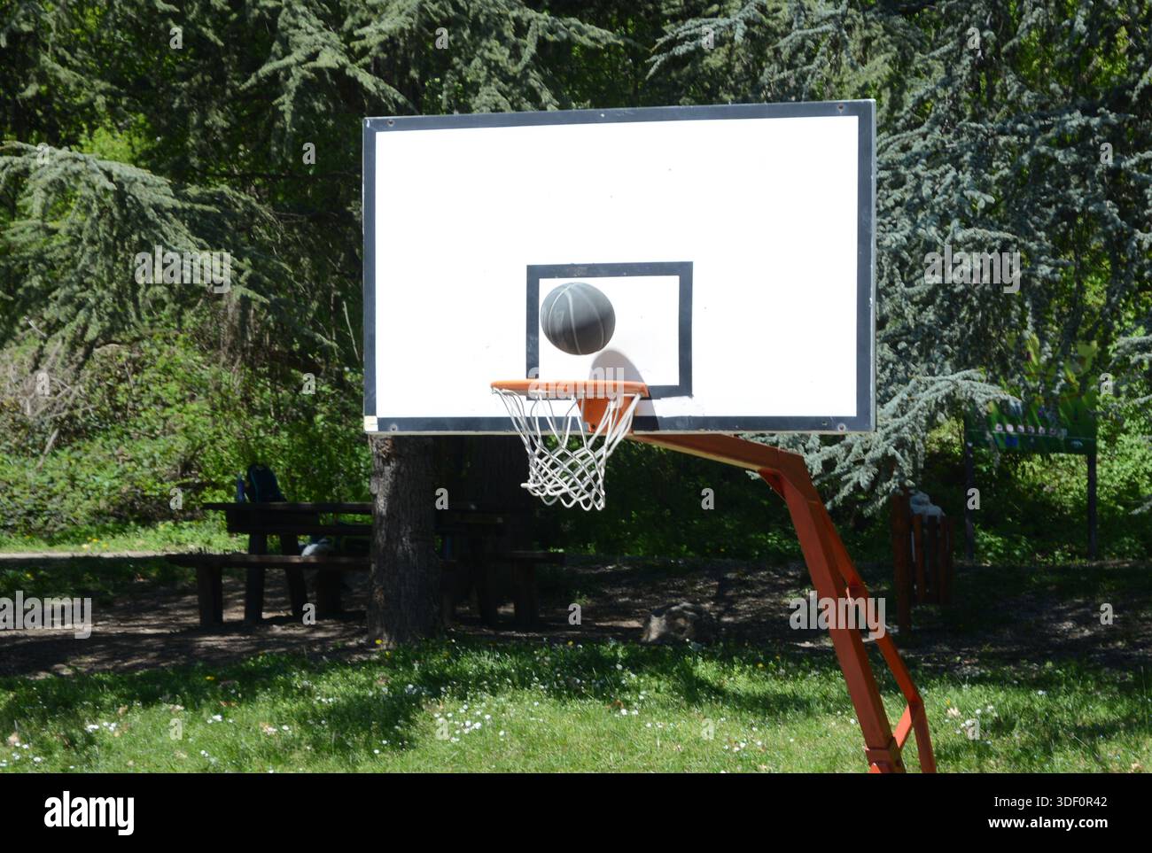 tavolo da basket nella foresta con alberi verdi e una palla poco prima di entrare nel cerchio Foto Stock