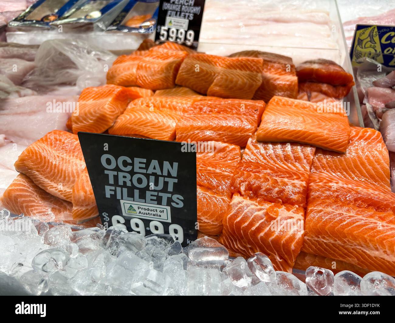 Australia, negozio di pescivendoli, pesce fresco in vendita, filetti di trota oceanica prodotti in australia ghiacciati al banco - Immagine stock catturata con smartphone