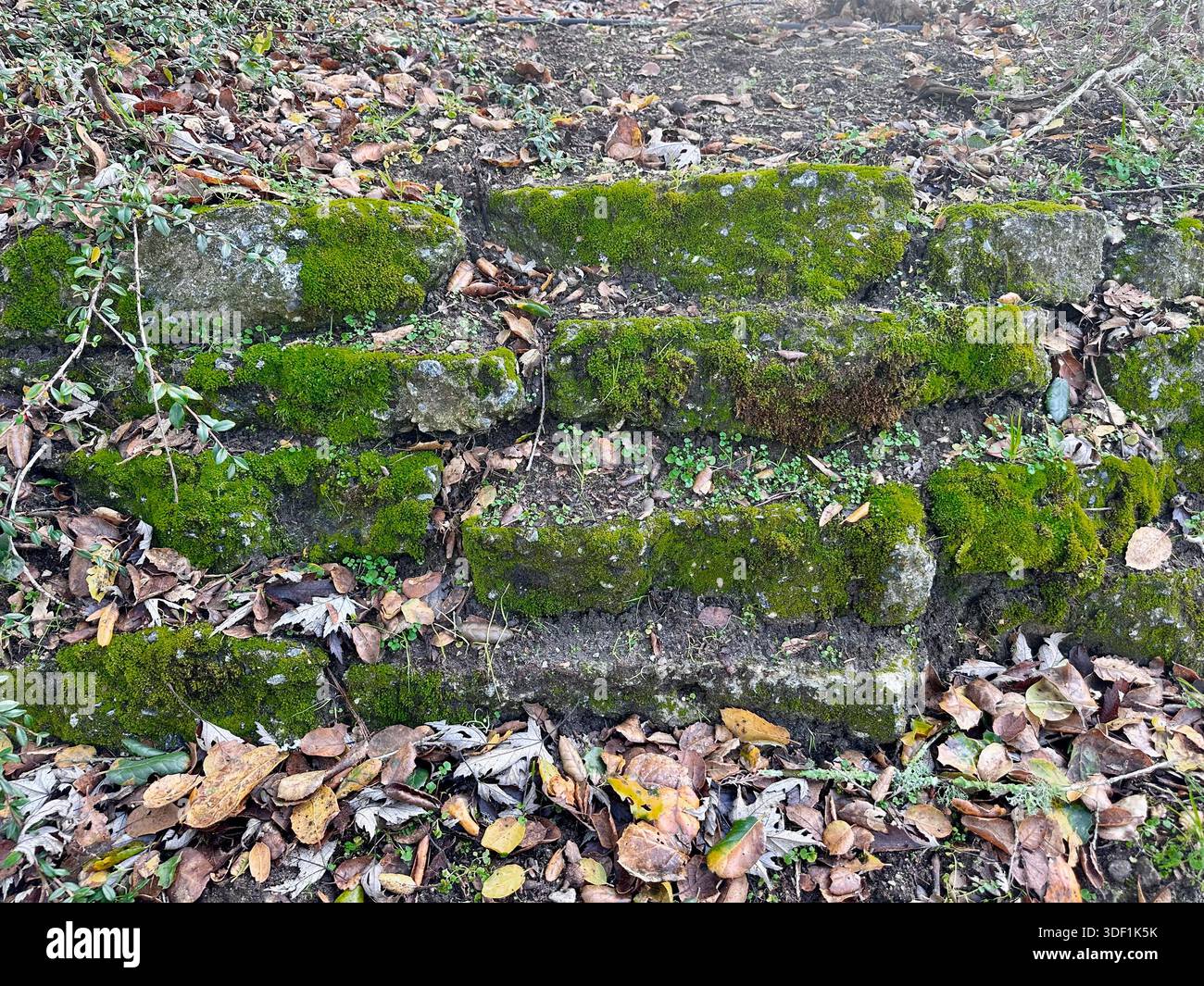 Scalini di pietra ricoperti di muschio e texture di roccia intemprata - Immagine stock catturata con smartphone