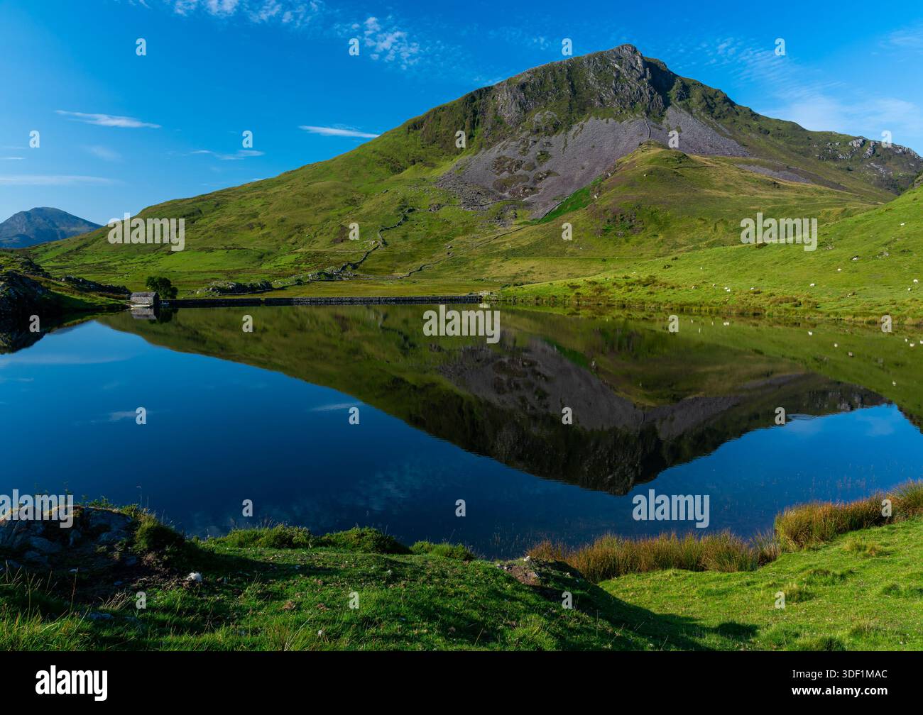 Y Garn si rifletteva nelle acque calme di Llyn y Dywarchen Foto Stock