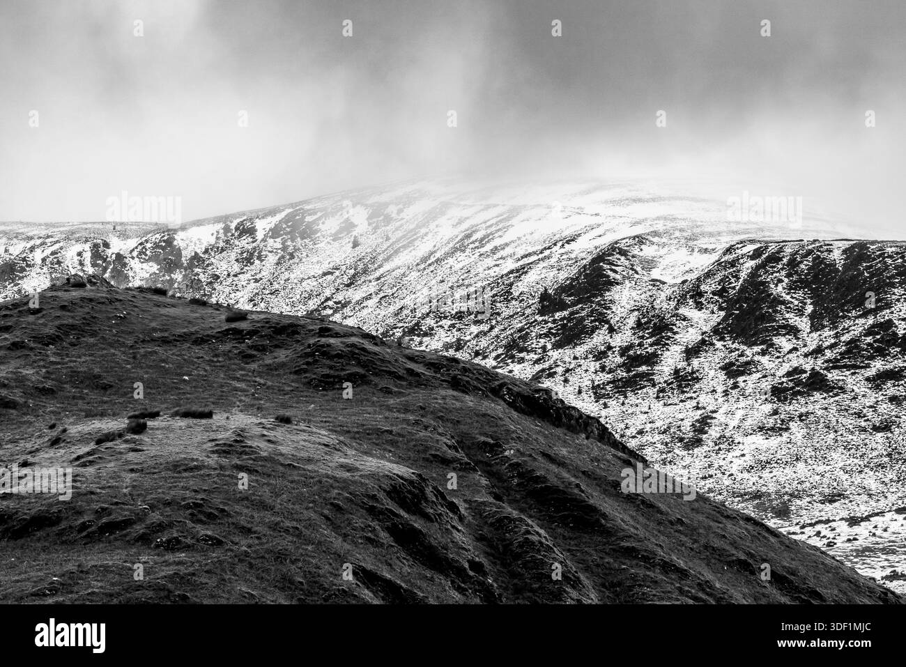 Piste invernali bianche e nere sotto nuvole basse in Snowdonia Foto Stock
