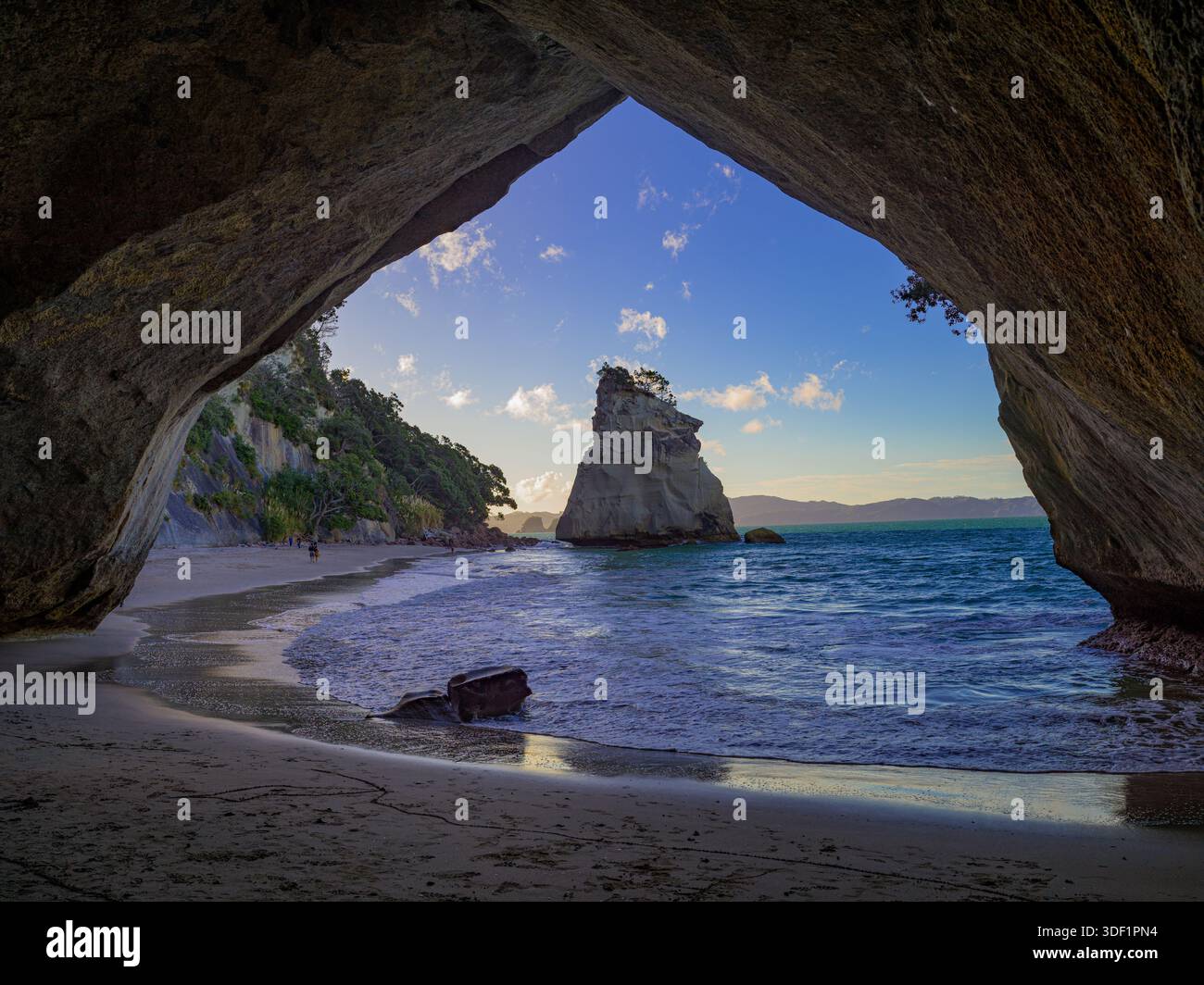 Splendido scenario della Cathedral Cove Beach, nuova Zelanda. Foto Stock
