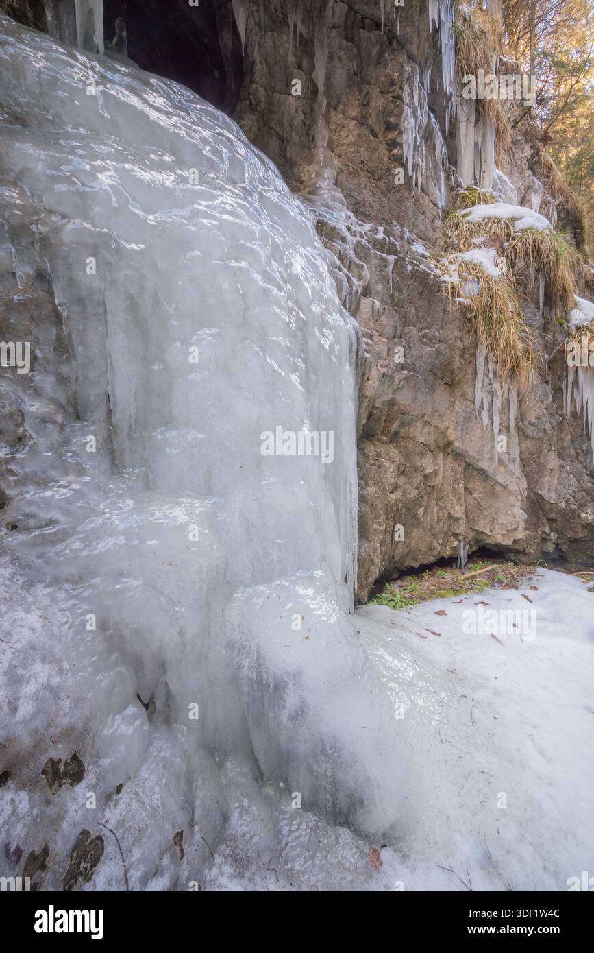 Vista delle cascate ghiacciate lungo la scogliera rocciosa, scintillante sotto il sole invernale, con ghiaccioli appesi come pugnali di cristallo, Slovensky R. Foto Stock