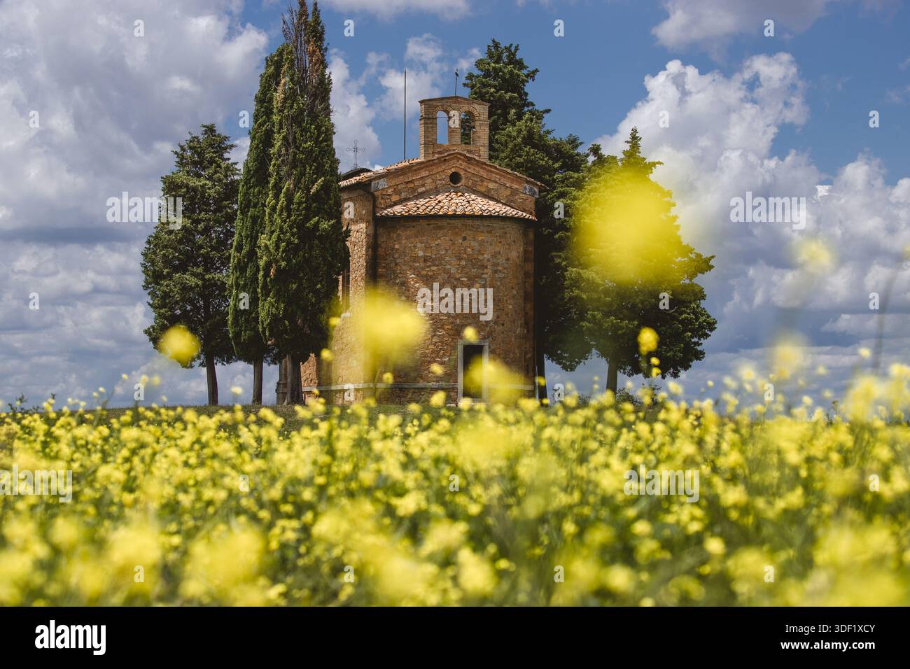 Vista di una pittoresca cappella con un tetto di tegole rosse, abbracciata da torreggianti cipressi, in un vibrante campo di fiori selvatici gialli sotto un cielo blu, San Foto Stock