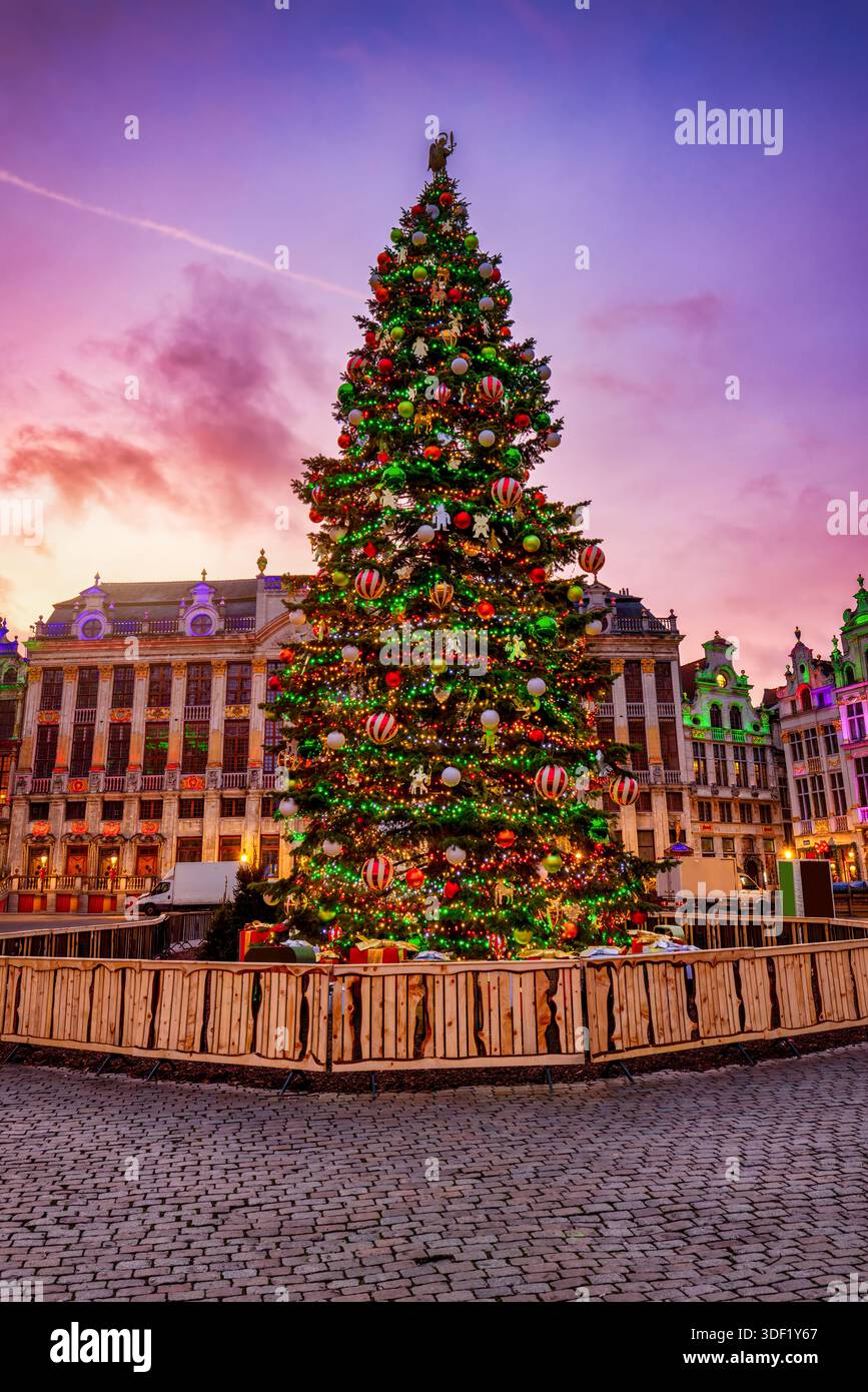 Un albero di Natale per la stagione festiva durante una splendida alba invernale senza persone al Grand Place di Bruxelles, in Belgio Foto Stock