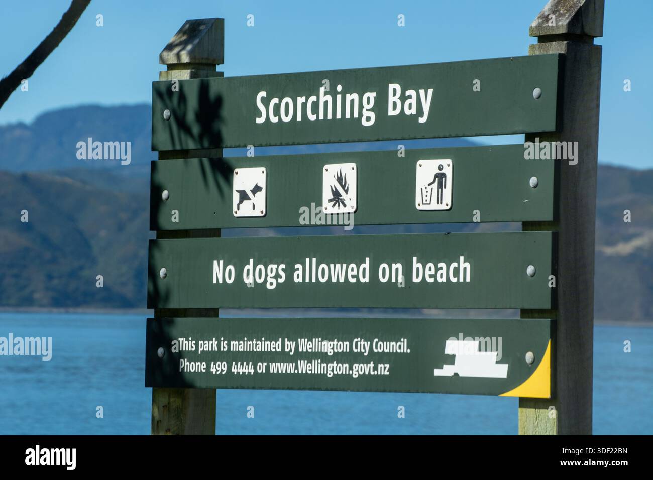 Un cartello a Scorching Bay indicante che non sono ammessi cani sulla spiaggia, con icone per le attività vietate e informazioni sulla manutenzione del parco. Foto Stock