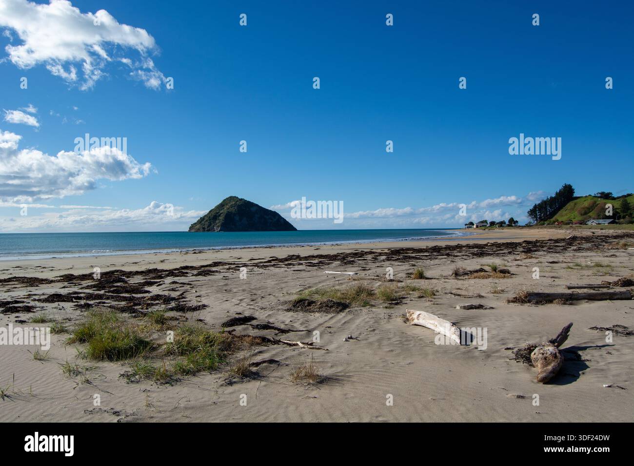 Una tranquilla spiaggia caratterizzata da una spiaggia sabbiosa con paludi e alghe sparse. Sullo sfondo, una piccola isola sorge dalle calme acque blu u Foto Stock