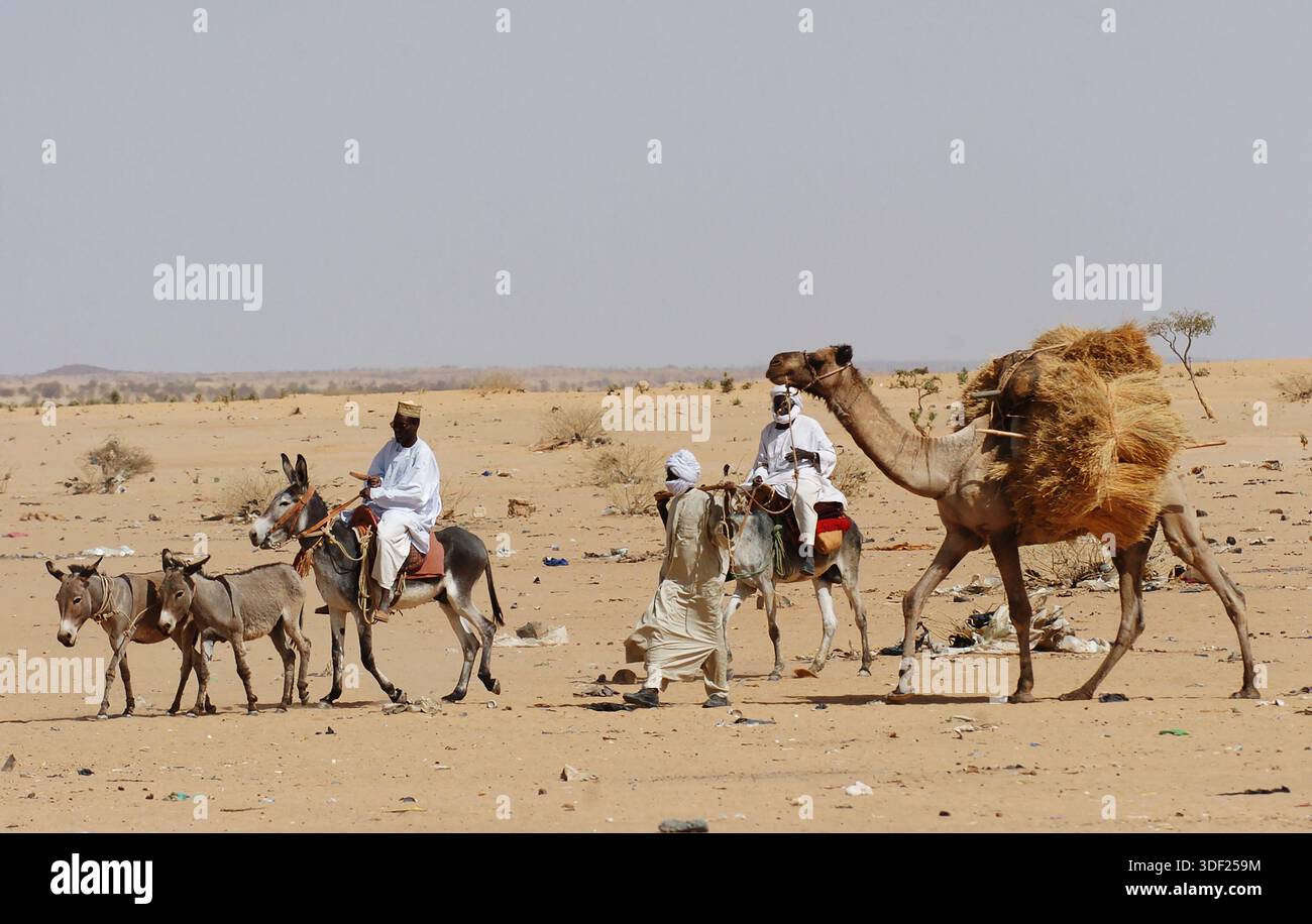 10/06/04, CARESTIA E SICCITÀ,. AFRICA,. RIFUGIATI IRIDIMI, CIAD, AFRICA. I RIFUGIATI ARRIVATI DI RECENTE DAL SUDAN ASPETTANO DI ESSERE PORTATI NEI CAMPI PROFUGHI DI MILETE, CIAD. Foto Stock