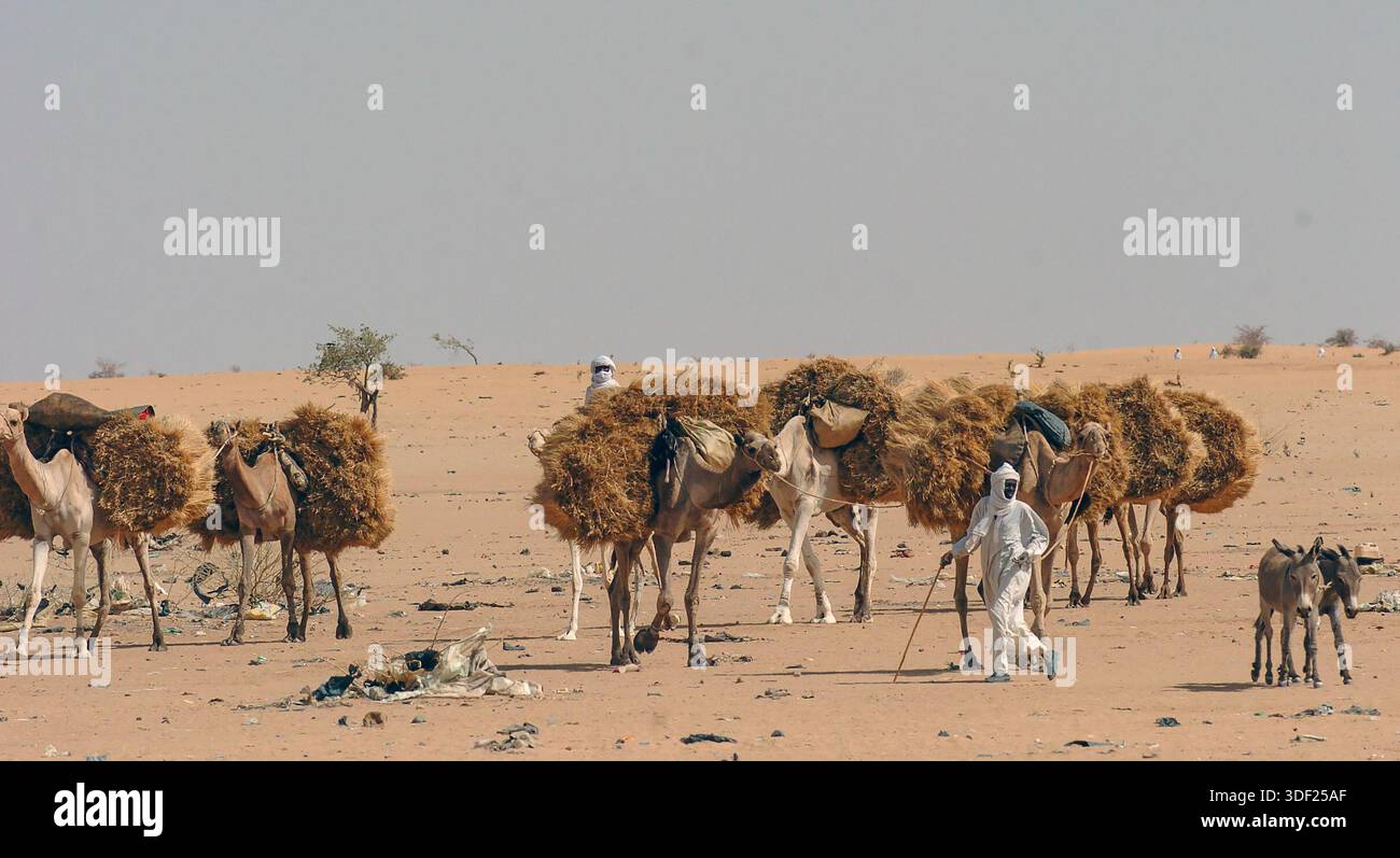 10/06/04, CARESTIA E SICCITÀ,. AFRICA,. RIFUGIATI IRIDIMI, CIAD, AFRICA. I RIFUGIATI ARRIVATI DI RECENTE DAL SUDAN ASPETTANO DI ESSERE PORTATI NEI CAMPI PROFUGHI DI MILETE, CIAD. Foto Stock