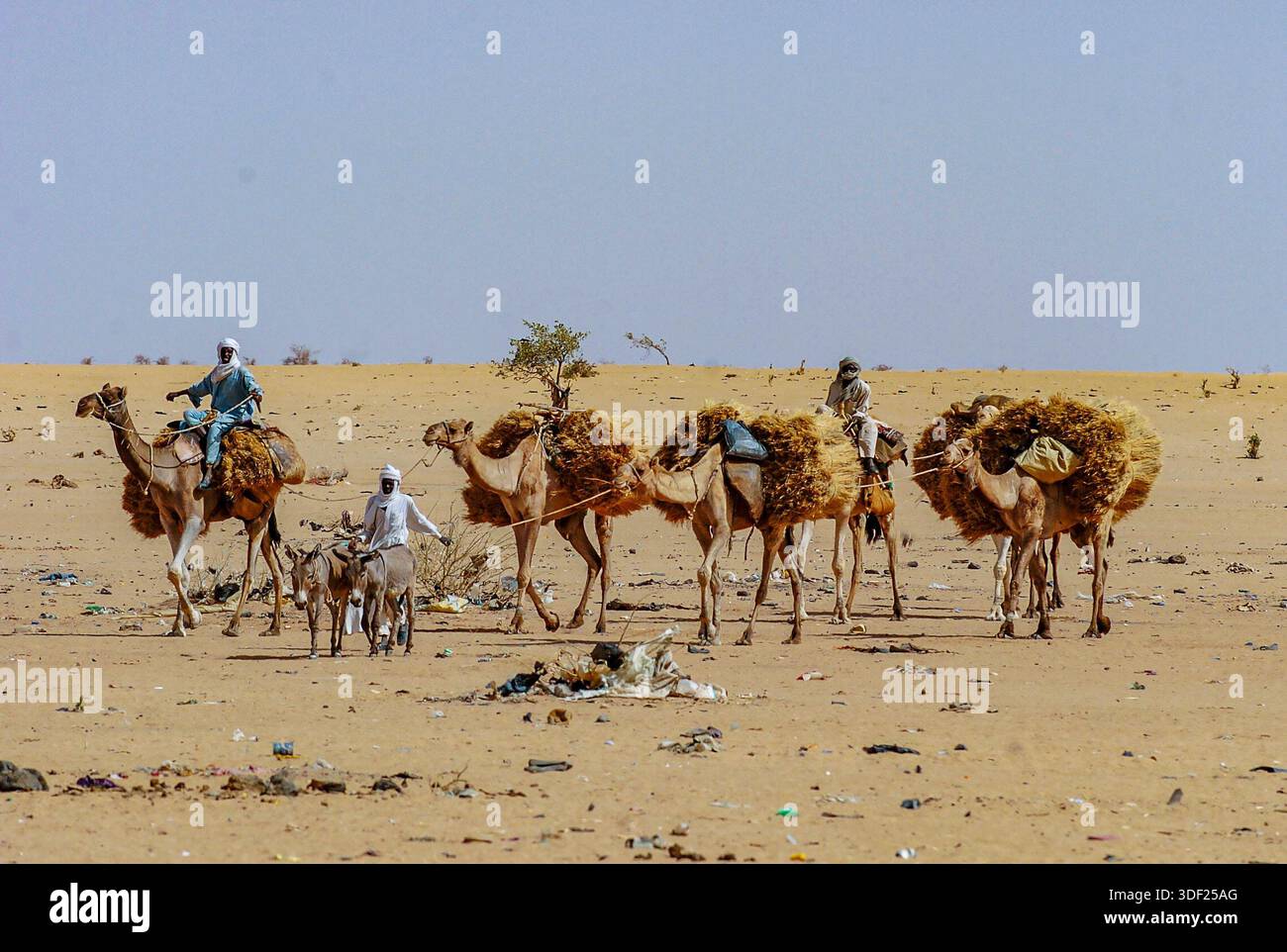 10/06/04, CARESTIA E SICCITÀ,. AFRICA,. RIFUGIATI IRIDIMI, CIAD, AFRICA. I RIFUGIATI ARRIVATI DI RECENTE DAL SUDAN ASPETTANO DI ESSERE PORTATI NEI CAMPI PROFUGHI DI MILETE, CIAD. Foto Stock