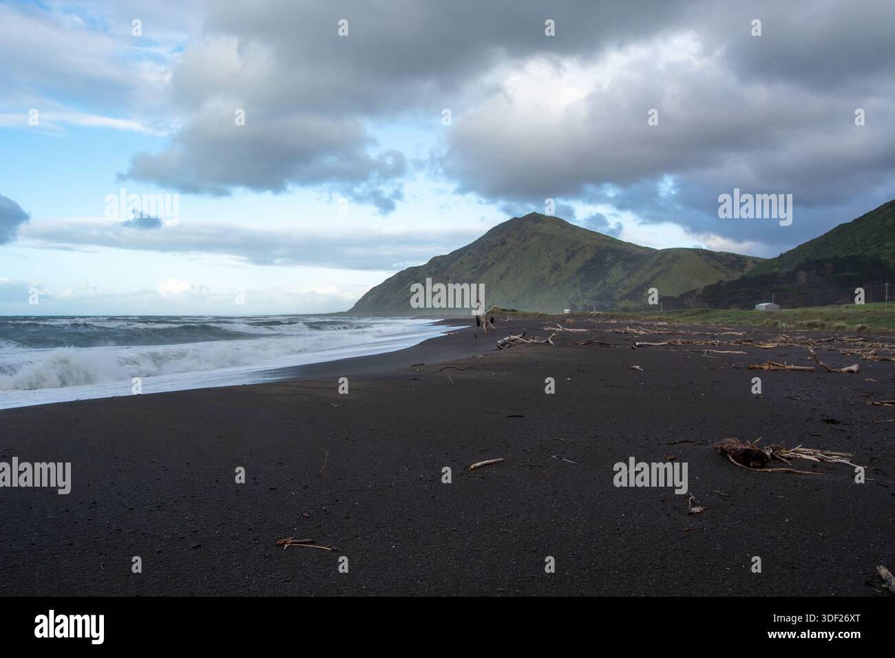 Una vista panoramica di una spiaggia di sabbia nera con onde che si infrangono contro la riva. Sullo sfondo, una lussureggiante montagna verde sorge sotto un cielo nuvoloso. Driftwoo Foto Stock