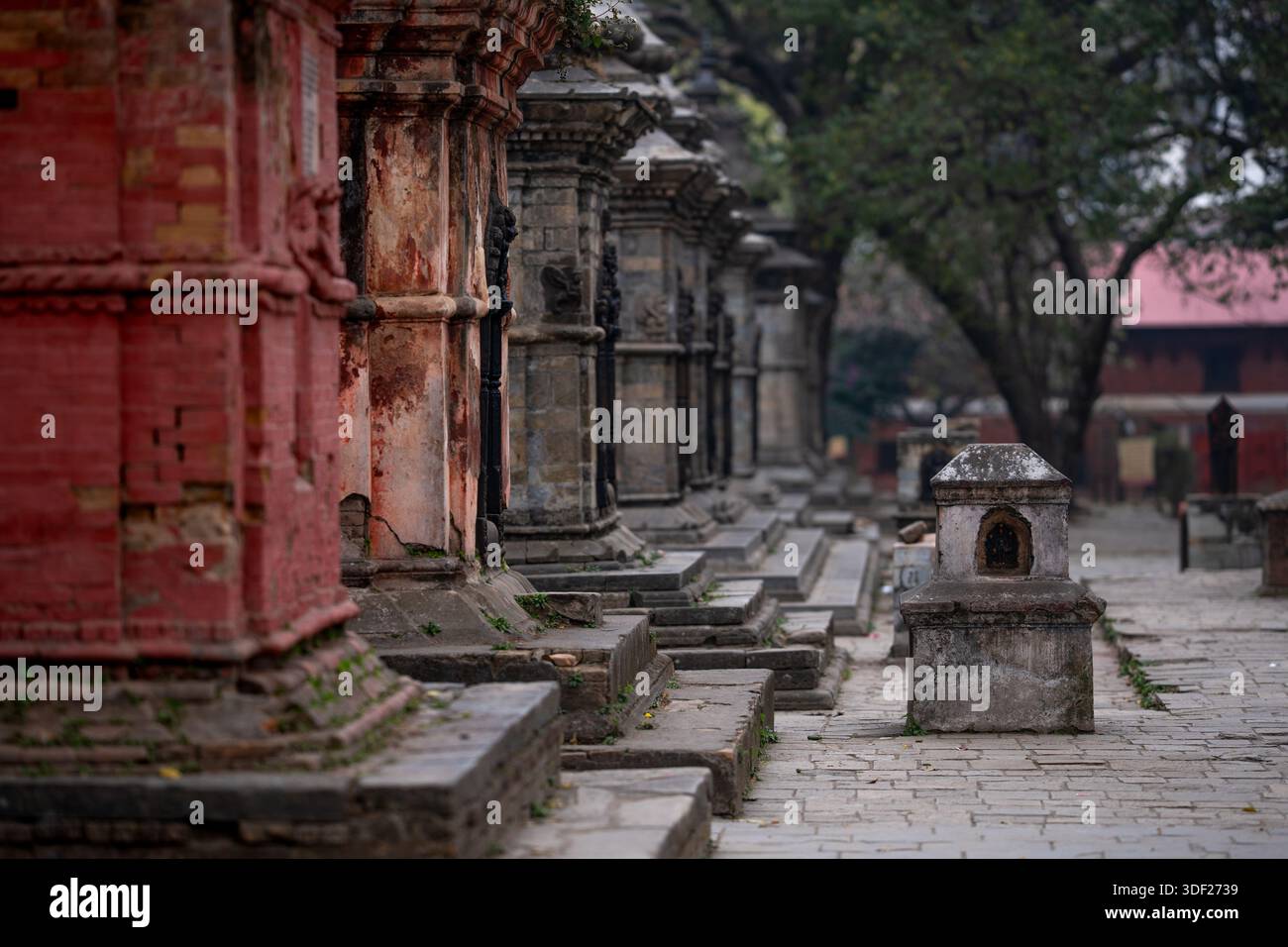 Foto dall'area del tempio di Pashupatinath a Kathmandu, Nepal. Il tempio di Pashupatinath è uno dei complessi religiosi più antichi e significativi. Foto Stock