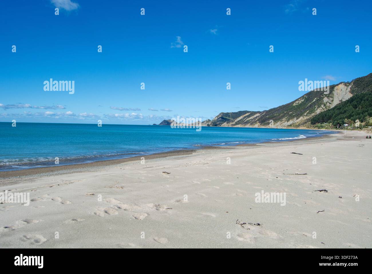Una tranquilla spiaggia caratterizzata da sabbia soffice, onde dolci e un cielo azzurro. La costa è costeggiata da colline, creando un paesaggio pittoresco Foto Stock