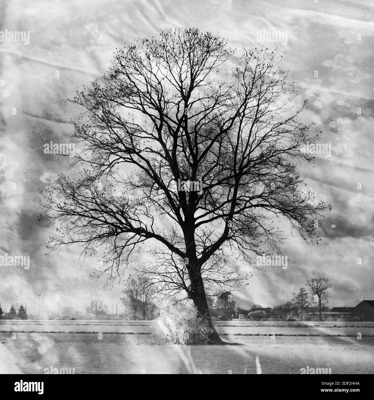 Composizione artistica astratta surreale per arte raffinata e design creativo Foto Stock