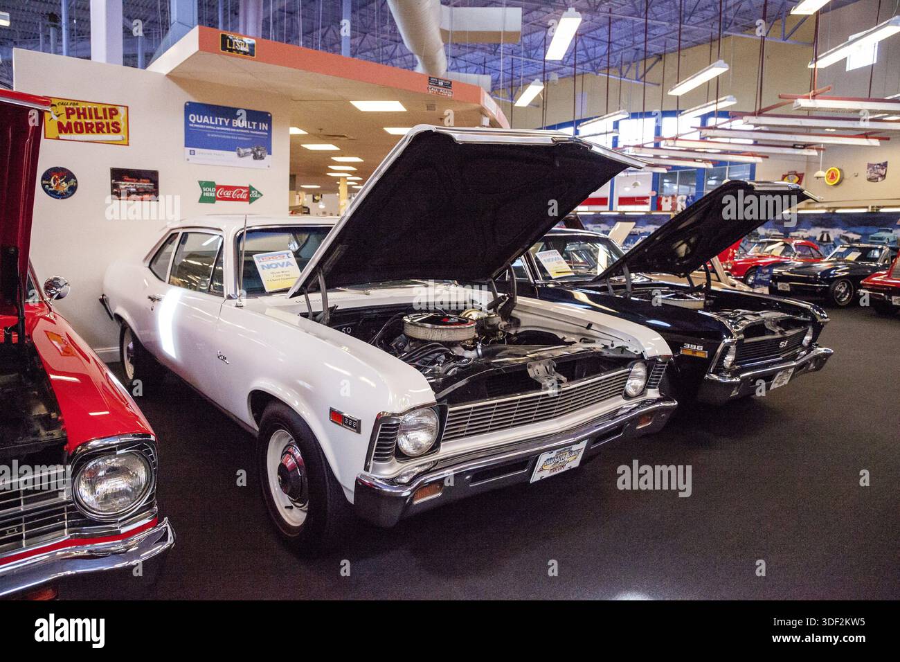 Punta Gorda, Florida, USA â€“ 13 ottobre 2019: Chevrolet Nova 1969 bianca esposta al museo Muscle Car City. Uso editoriale Foto Stock