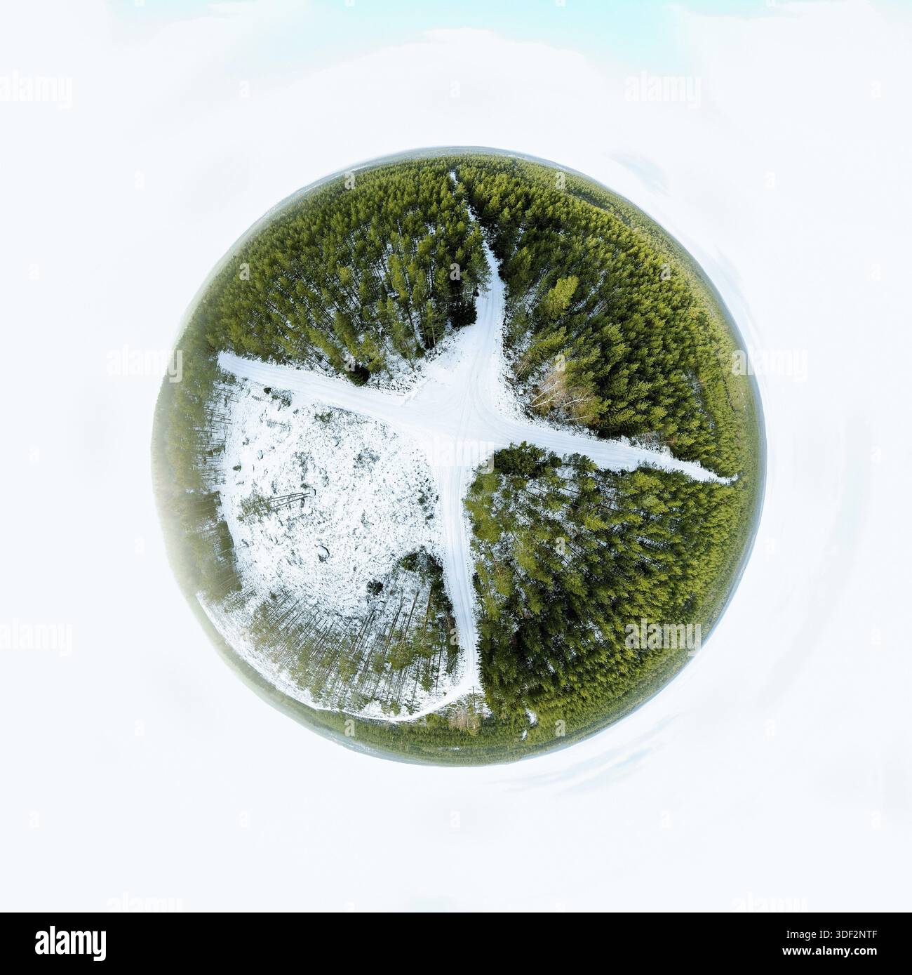Foresta sempreverde in una sfera panorama paesaggio invernale Foto Stock