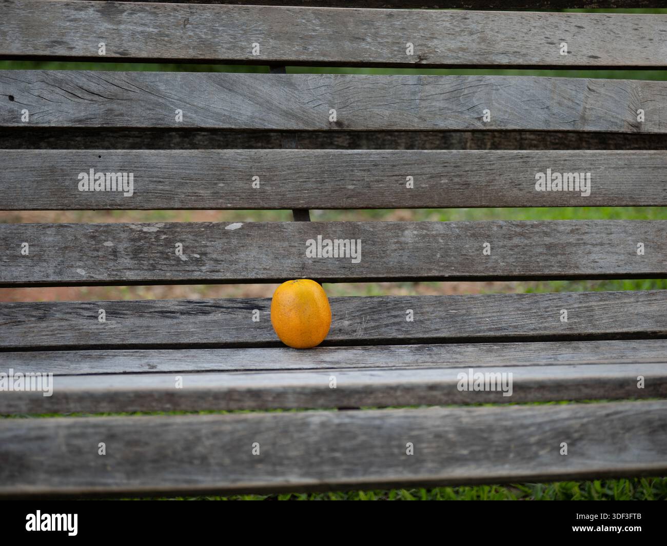 Arancio posto su una panchina di legno del parco, presentato come frutta fresca in una semplice natura morta all'aperto. Foto Stock