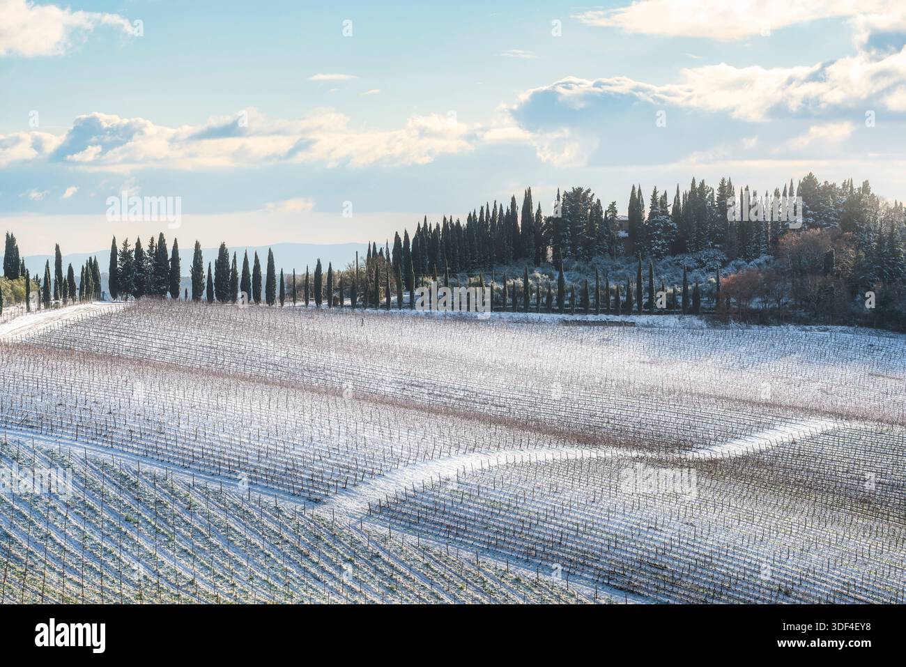 Rara vista invernale di vigneti e cipressi ricoperti di neve vicino a Radda in Chianti. Paesaggio panoramico della campagna toscana, Siena, Italia Foto Stock