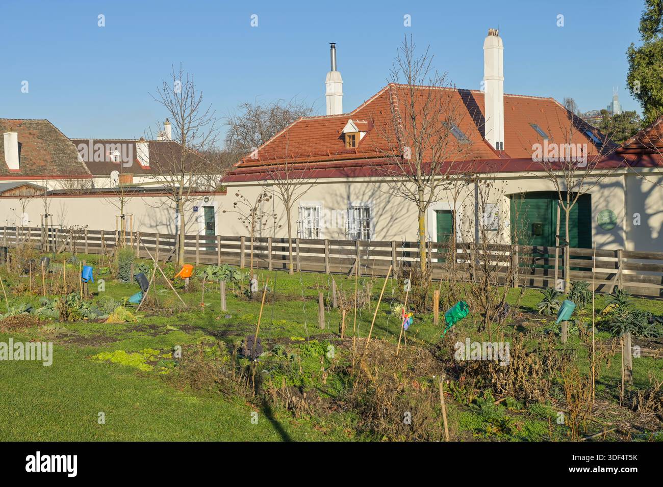 Garten, Urban Gardening am Augarten, Park, Wien, Österreich Foto Stock