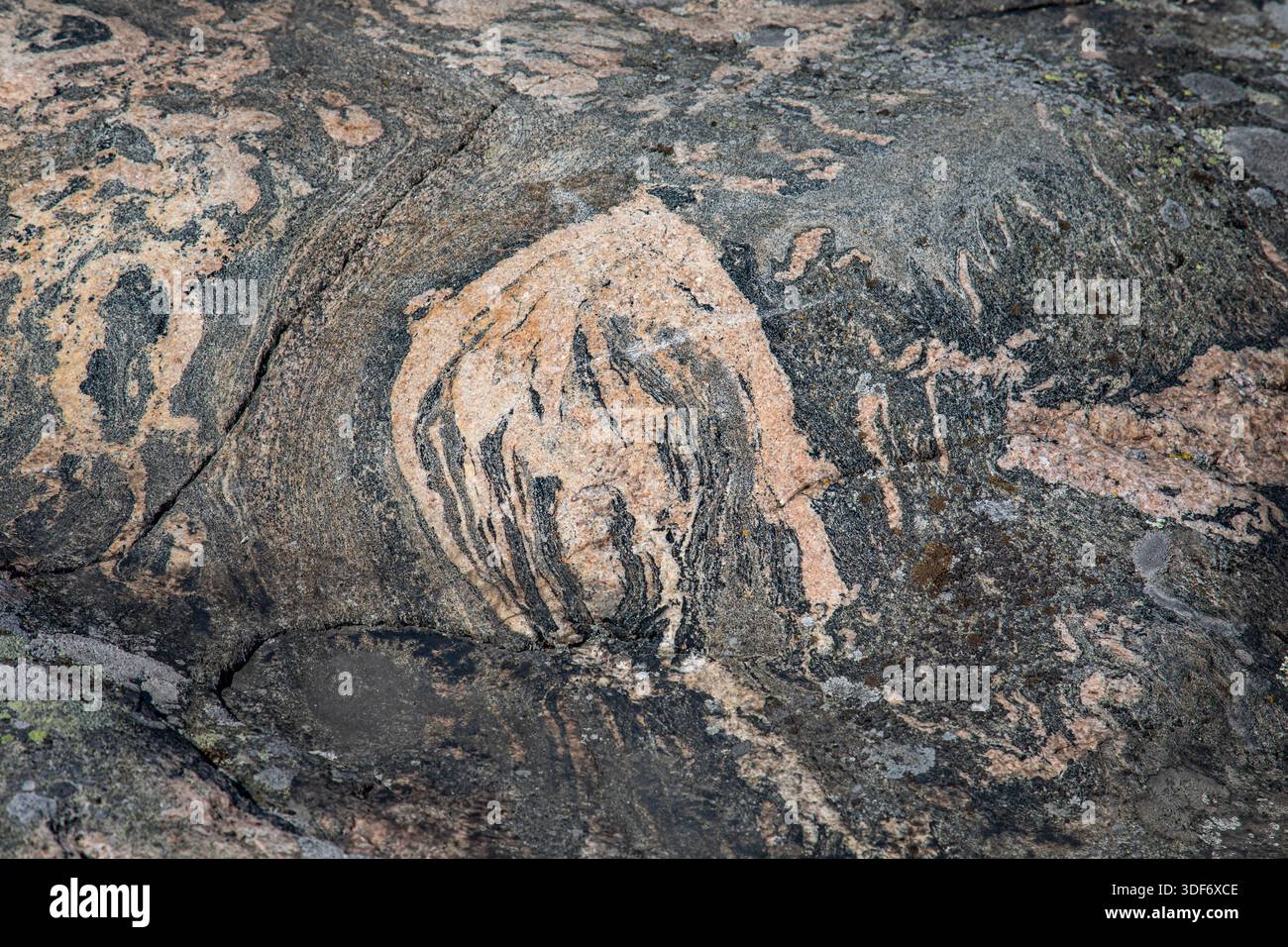 Modelli geologici su rocce metamorfiche nell'isola Liuskasaari, Helsinki, Finlandia Foto Stock