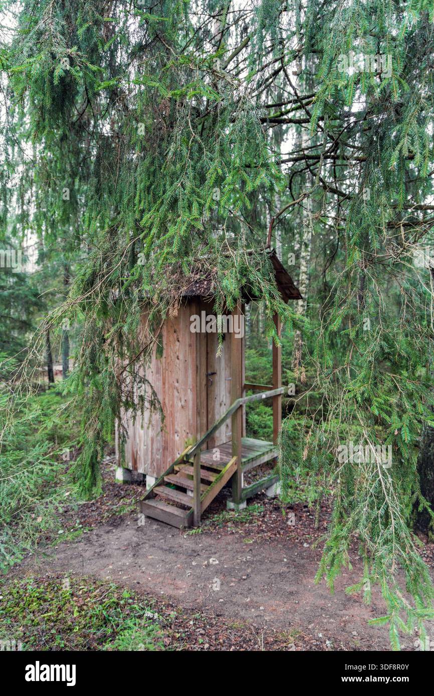 Tradizionale cabina toilette rustica in legno nascosta sotto i rami di abete rosso in una foresta profonda. Concetto di vita fuori rete, strutture per escursioni e survi all'aperto Foto Stock