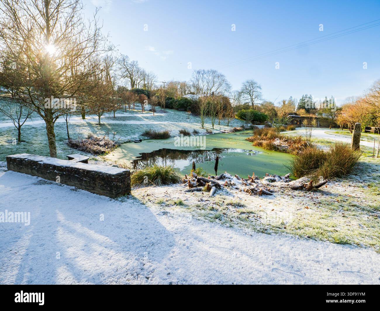 Arboreto e lago ricoperti da una leggera coperta di neve invernale presso la Garden House, Buckland Monachorum, Devon, Regno Unito Foto Stock