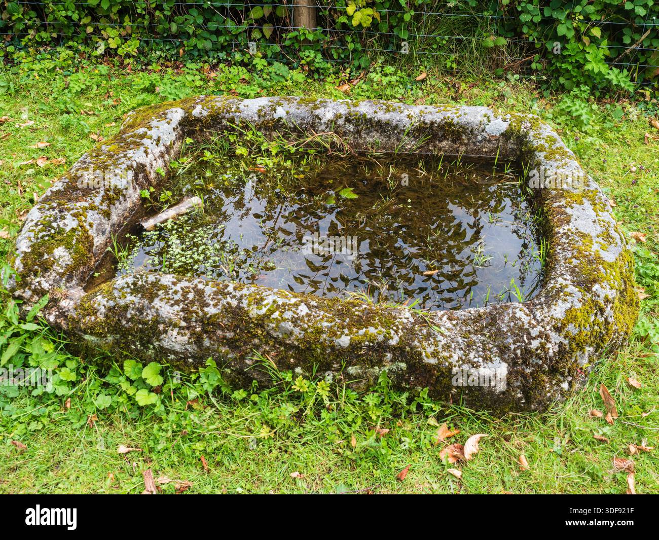 OLYMPUS FOTOCAMERA DIGITALE Foto Stock