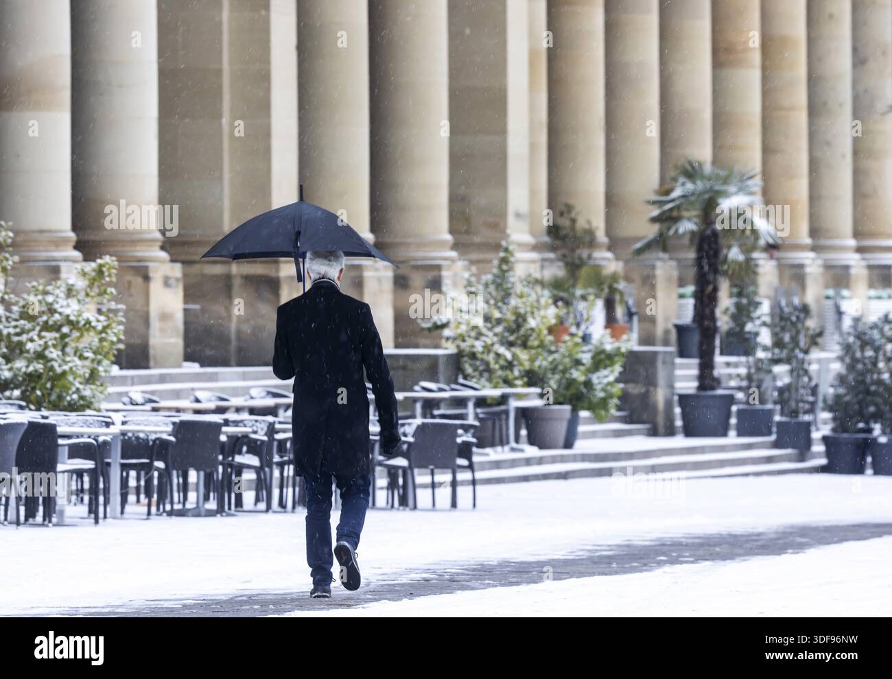 Inverno a Stoccarda. C'è una coperta di neve chiusa nel centro della città. Le palme e altre piante sono coperte di neve davanti al Koenigsba Foto Stock