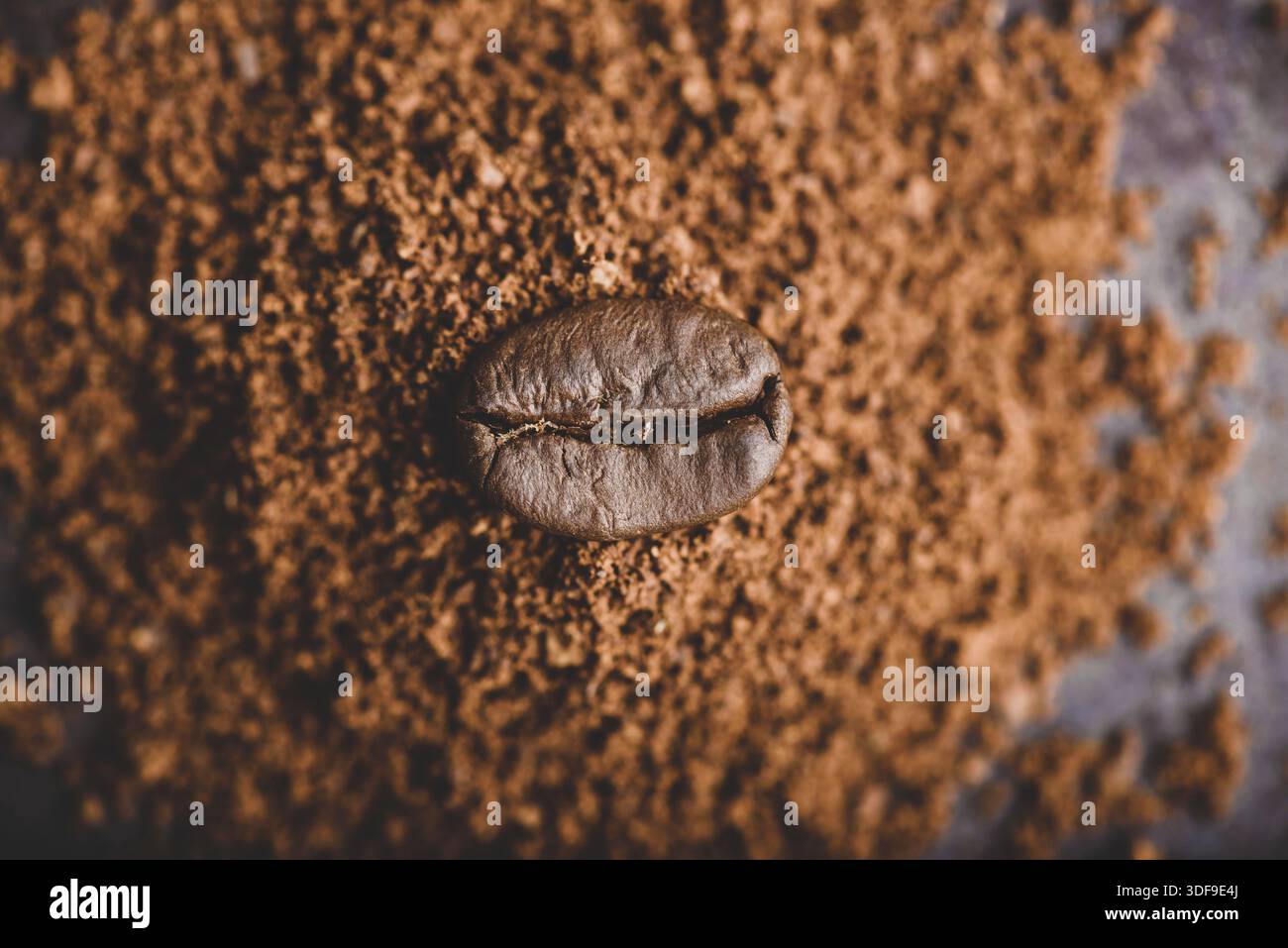 Carni arrosto di chicco di caffè getta sul mucchio di caffè macinato Foto Stock