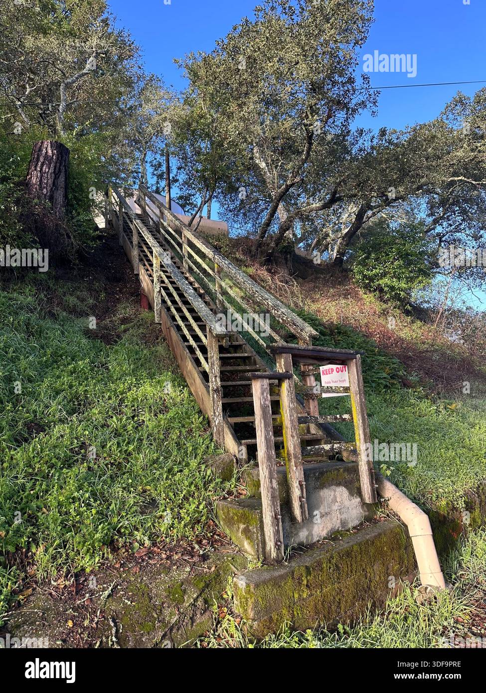 Scala in legno con cartello "Keep Out" su una collina - Immagine stock catturata con smartphone