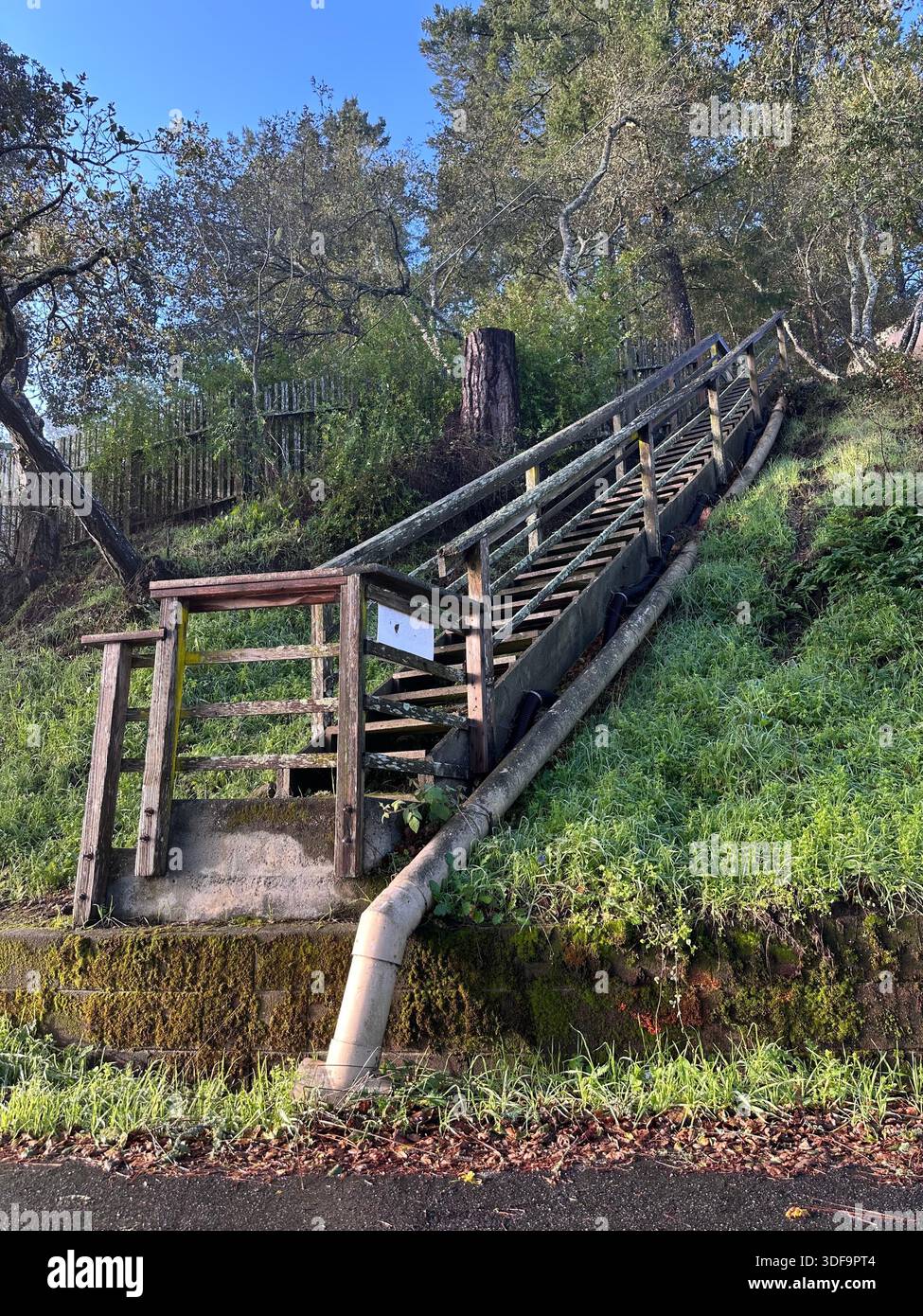 Scala in legno con cartello "Keep Out" su una collina - Immagine stock catturata con smartphone