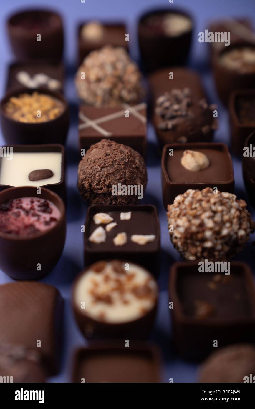 primo piano assortimento di praline artigianali e tartufi di cioccolato disposti in griglia ordinata su una superficie blu morbida, con guarnizioni testurizzate e co lucido Foto Stock
