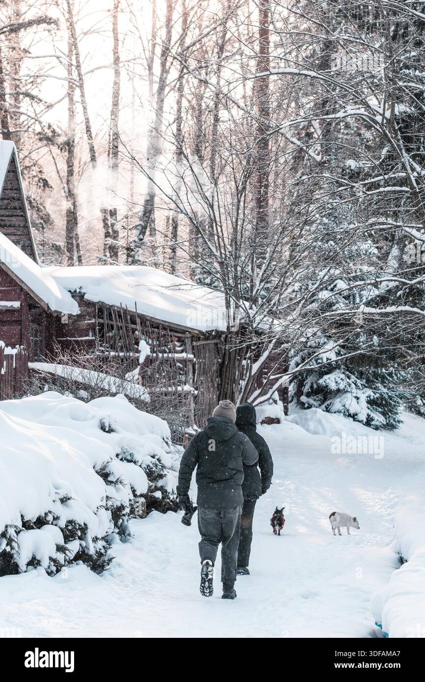 Una coppia con cani che cammina lungo un sentiero innevato verso un'accogliente cabina circondata dalla foresta invernale durante le nevicate Foto Stock