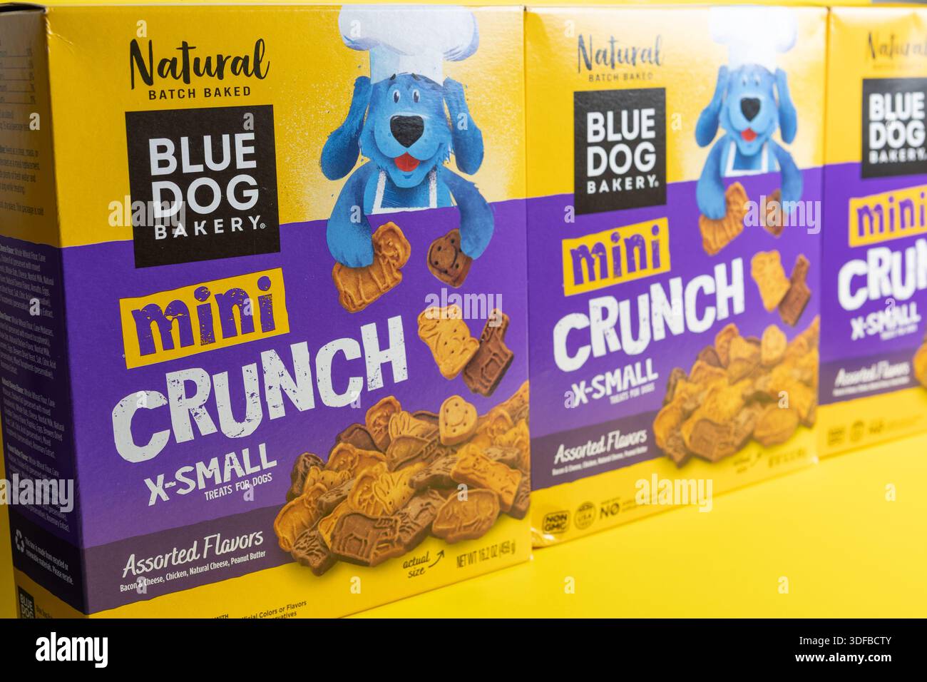 Scatole di panetteria Blue dog x piccoli dolcetti assortiti Foto Stock