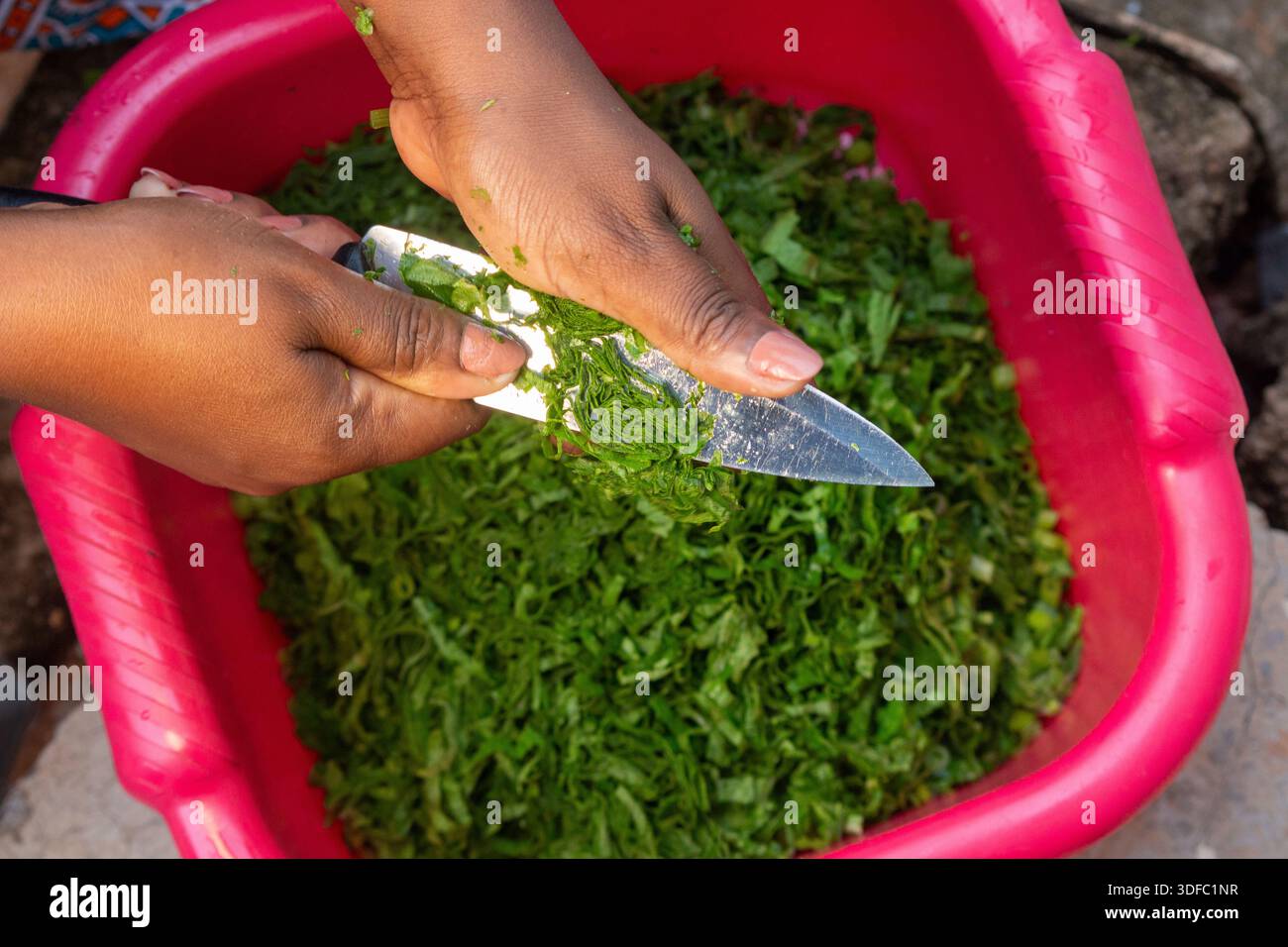 Preparazione delle foglie di zucca per lo stufato di verdure tradizionali africane Foto Stock